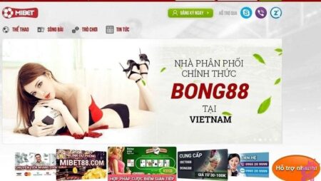 Mibet - Nhà phân phối bong88 tại Việt Nam